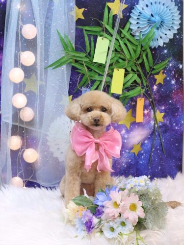 20250702めるちゃん